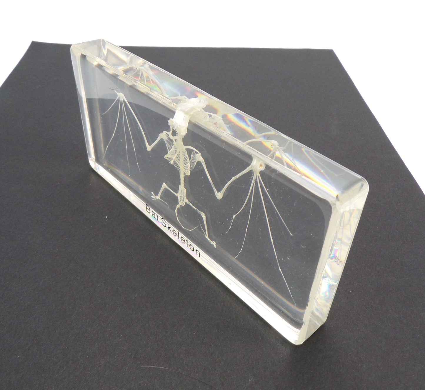 Vleermuis skelet 140mmx65mm